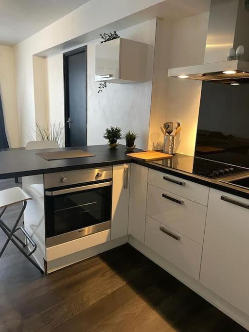 Le Cocon Des Horizons Apartment Rennes Exterior photo